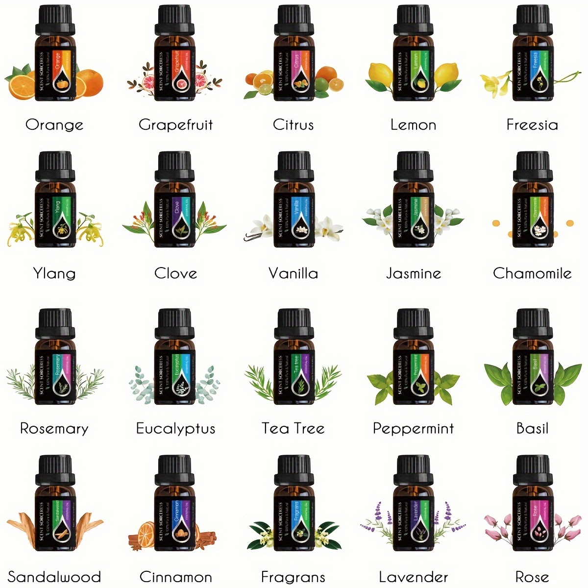 20 stks/set Essentiële Olie Se - Perfume Fragrance Essence recensie en prijs