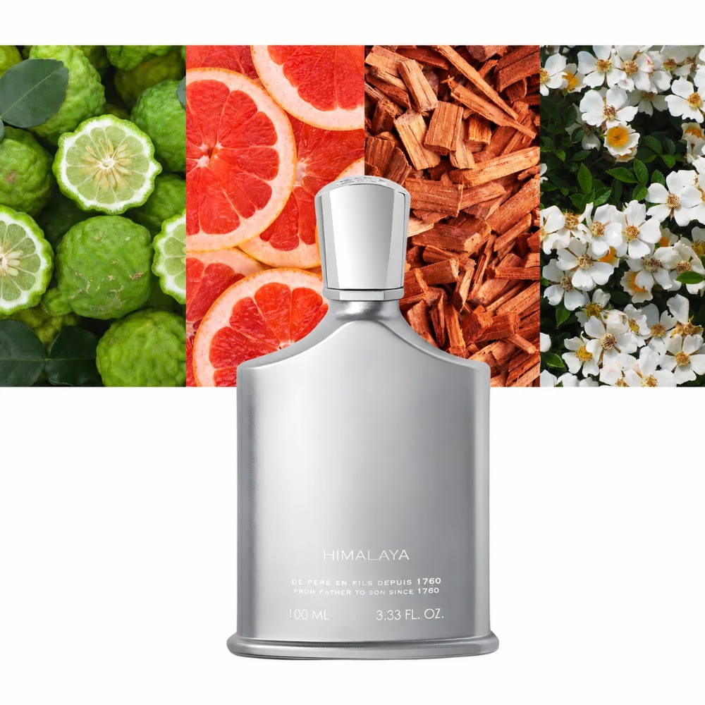 Aventus Parfum voor Heren 100m - Perfume Long Fragrance recensie en prijs