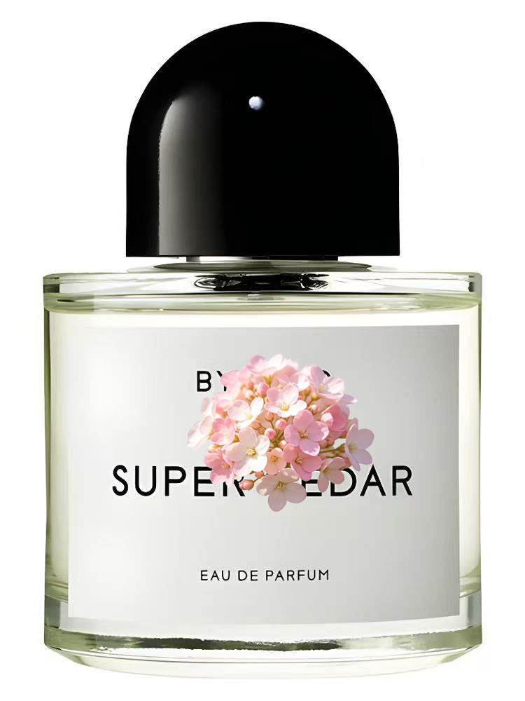 Unisex Eau de Parfum 100ml 3.4 - Perfume Xeryus recensie en prijs