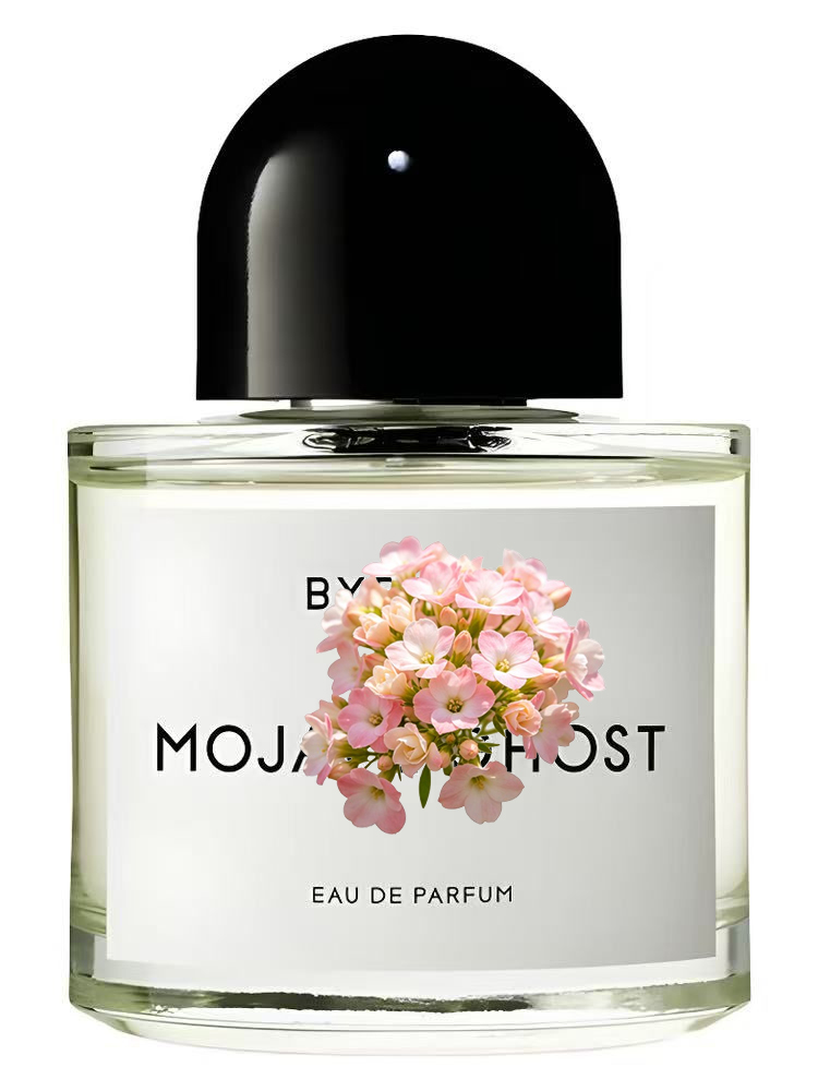Unisex Eau de Parfum 100ml 3.4 - Perfume Xeryus recensie en prijs
